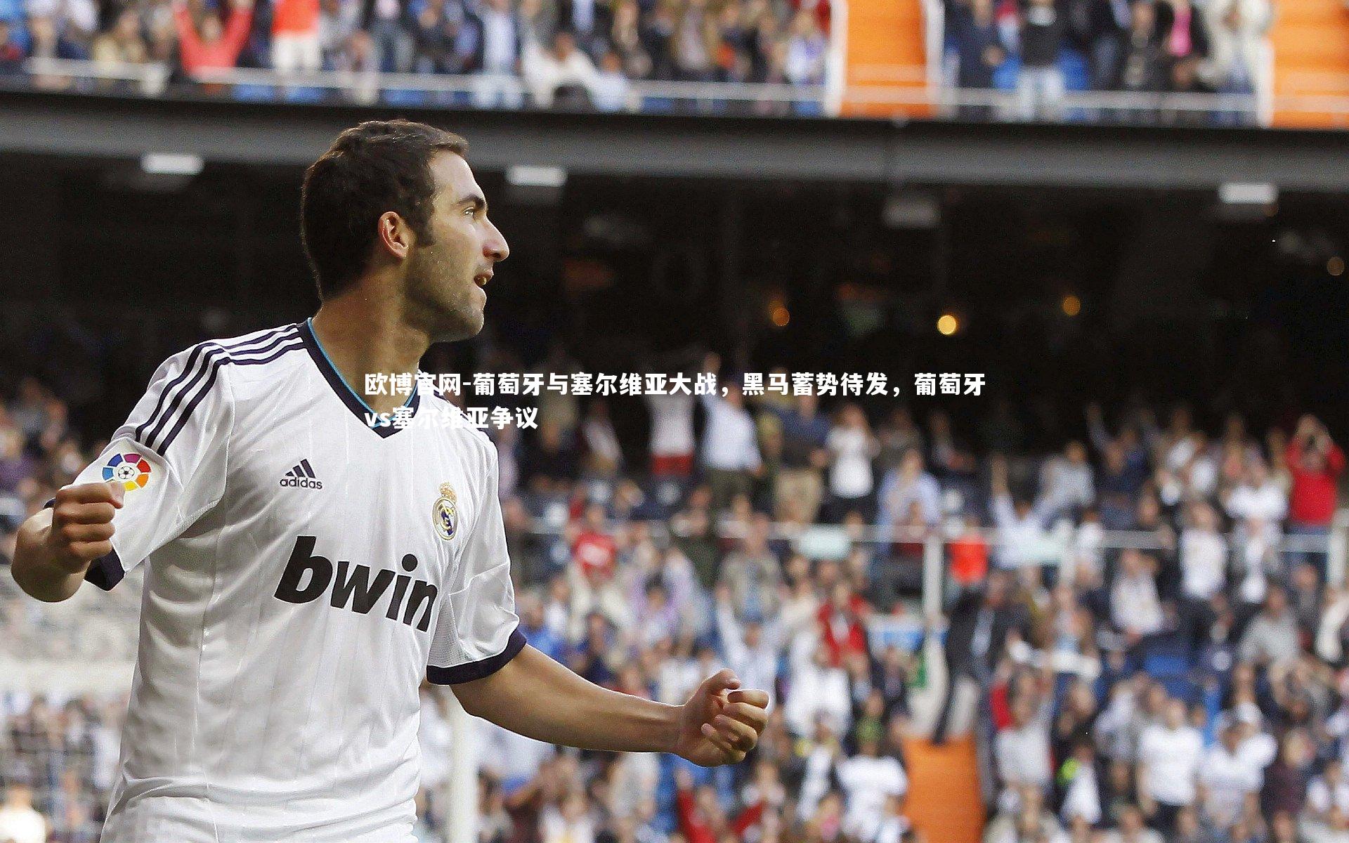 葡萄牙与塞尔维亚大战,黑马蓄势待发,葡萄牙vs塞尔维亚争议