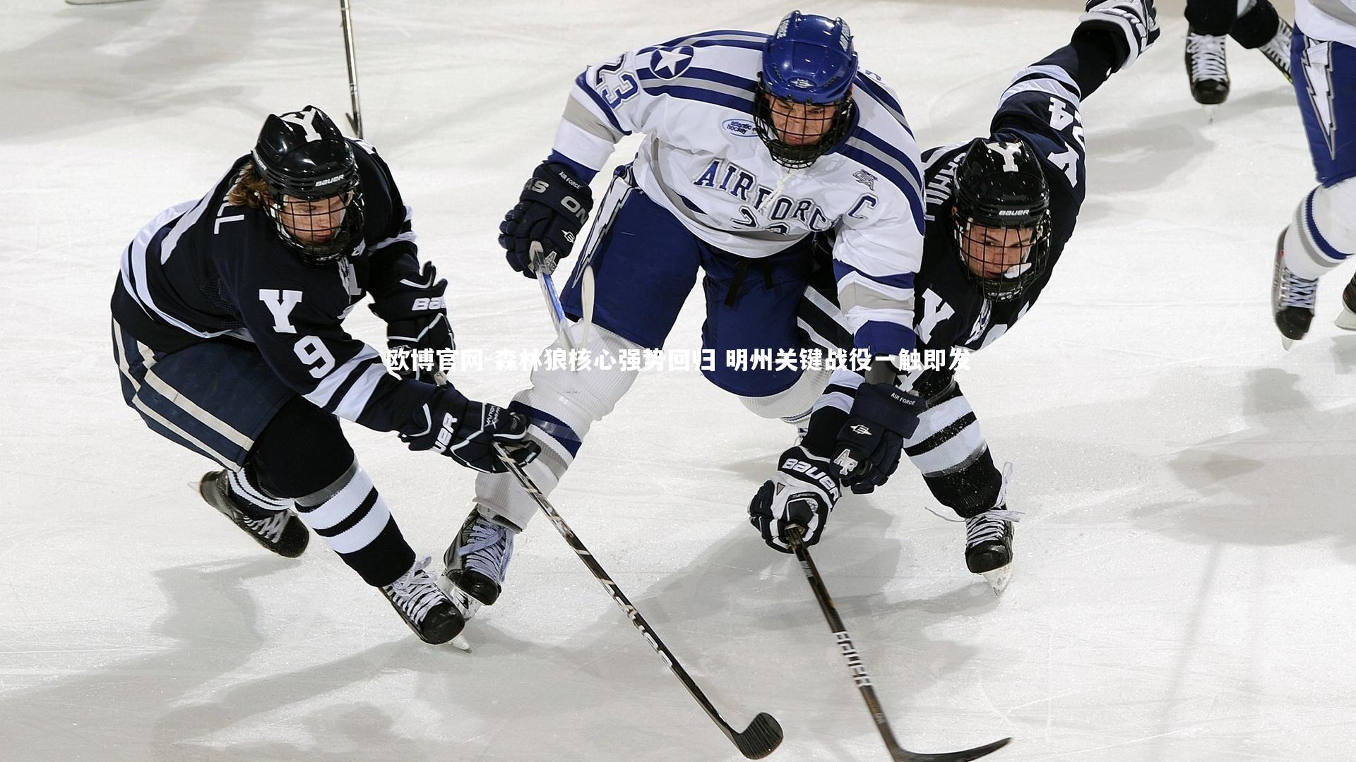 森林狼核心强势回归 明州关键战役一触即发