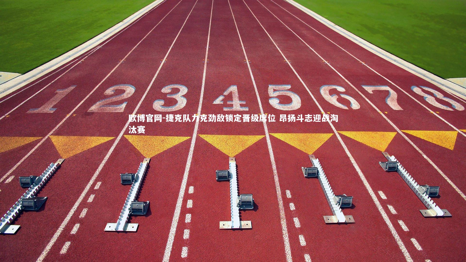 欧博官网-捷克队力克劲敌锁定晋级席位 昂扬斗志迎战淘汰赛