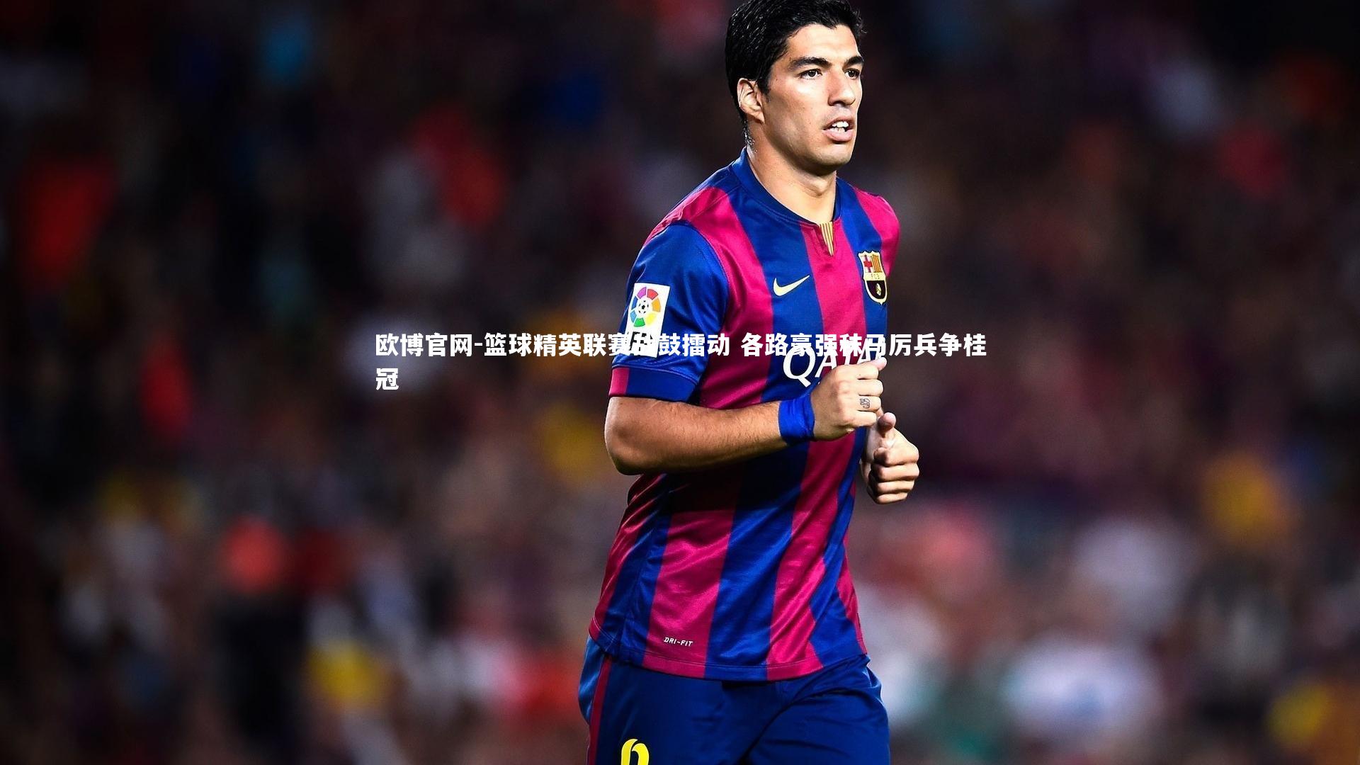 篮球精英联赛战鼓擂动 各路豪强秣马厉兵争桂冠